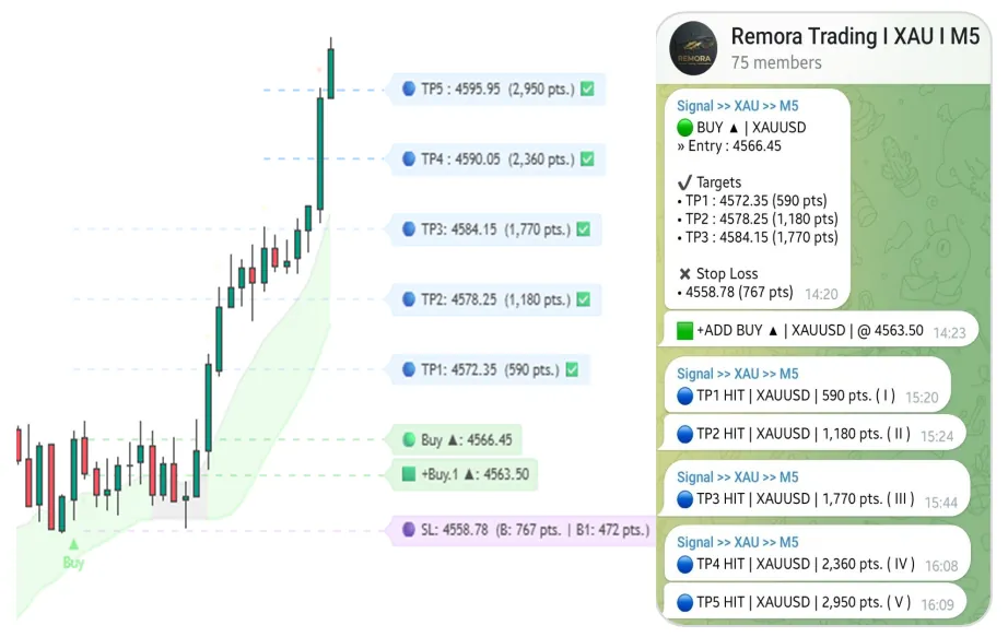 Buy Setup: Entry, +Buy.1, SL, TP1 to TP5 and Telegram alerts